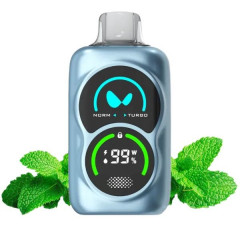 WAKA XLAND 15000 - Мята